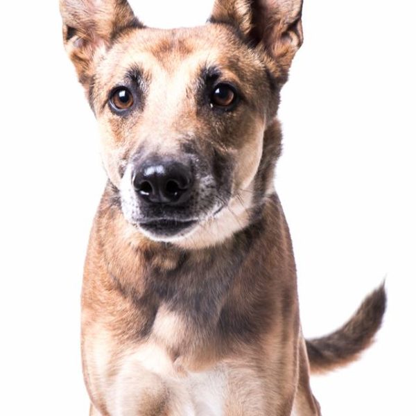 14281517_10154495090414347_68824443_n