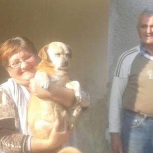 Maxi_gazdis01 Maxi_gazdis01