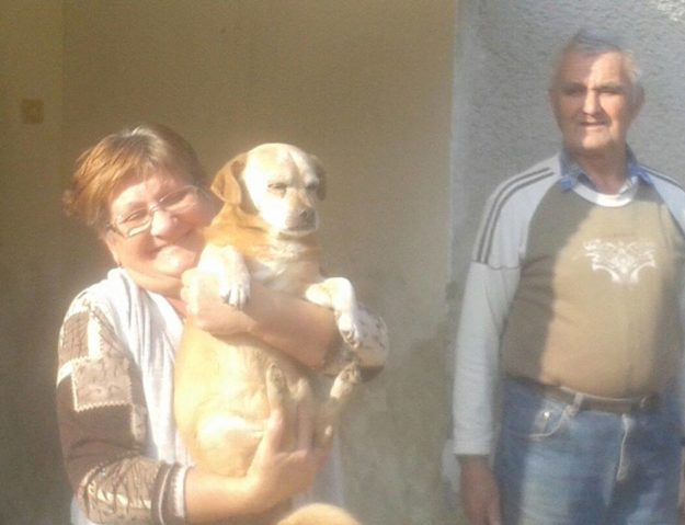Maxi_gazdis01