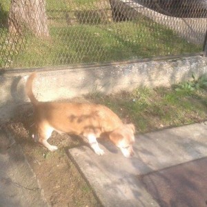 Maxi_gazdis05 Maxi_gazdis05