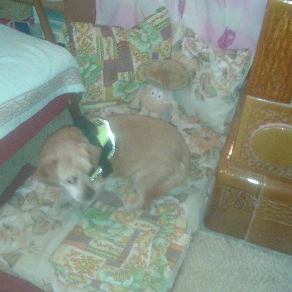 Maxi_gazdis07 Maxi_gazdis07