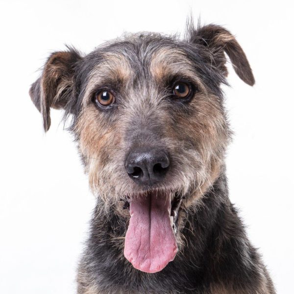 14242512_668751579945065_8052400839362584833_o 14242512_668751579945065_8052400839362584833_o