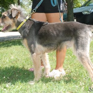 dsc_3393 dsc_3393
