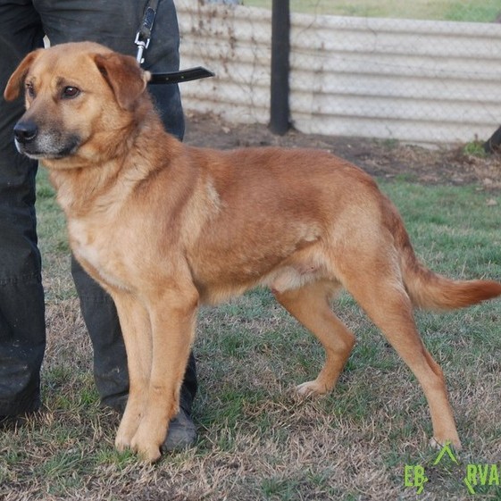 Rozsdás01 Rozsdás01