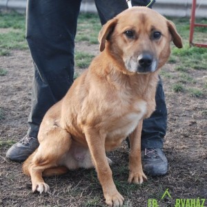 Rozsdás02 Rozsdás02