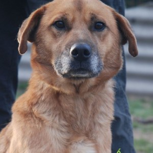 Rozsdás03 Rozsdás03