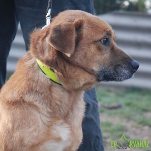 Rozsdás04 Rozsdás04