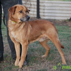 Rozsdás05 Rozsdás05