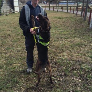 12565630_563786773774880_599818032950446463_n