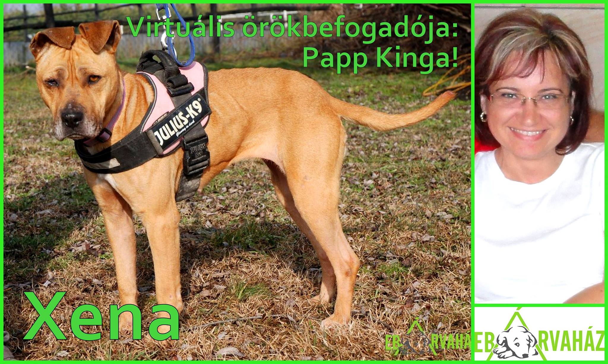 12719381_574692482684309_3795439444660220971_o