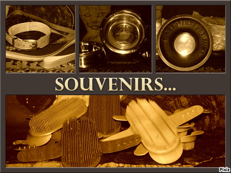 4397d01d84f14107aea0c2b2a4d35494