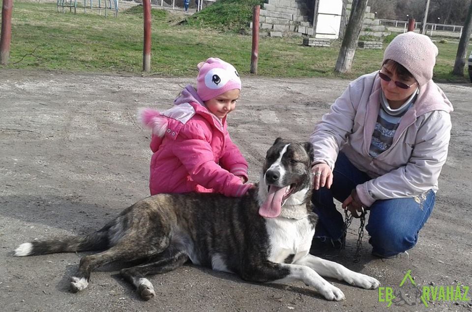 12805757_583419555144935_3919922641552050925_n