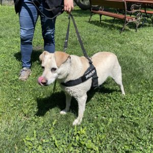 445000994_796773842568340_550883154972049242_n