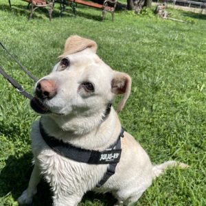 447276998_796773979234993_8471112674258363417_n