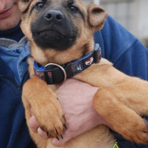 Alexander04 Alexander04