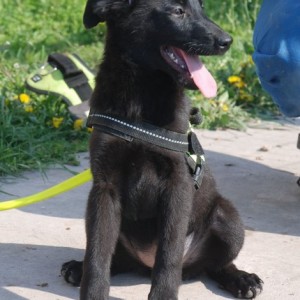 Cleo09 Cleo09