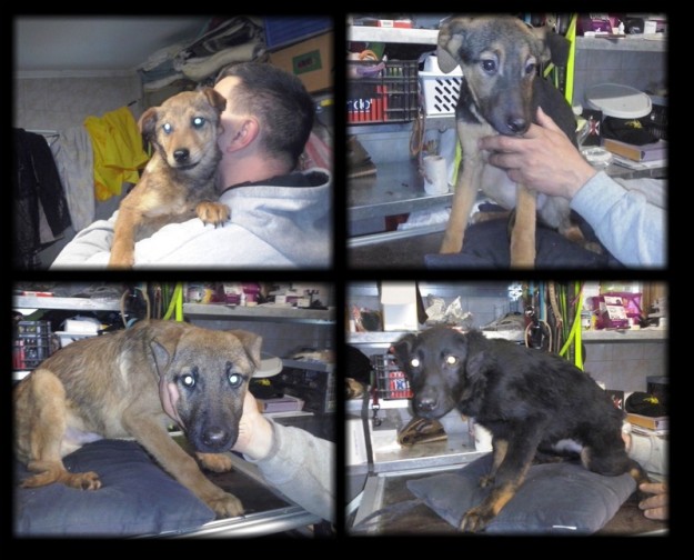pixiz-02-03-2016-11-23-31