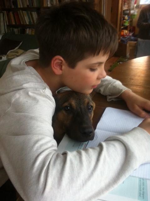 13000097_602906903196200_4502185661614791446_n