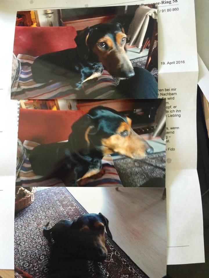 13010708_606824402804450_7707500370240857469_n