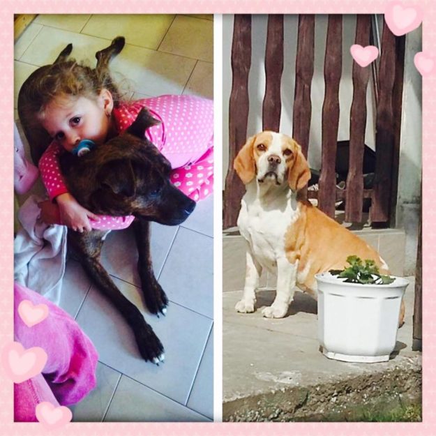 13059637_10209421100554969_316863029_n