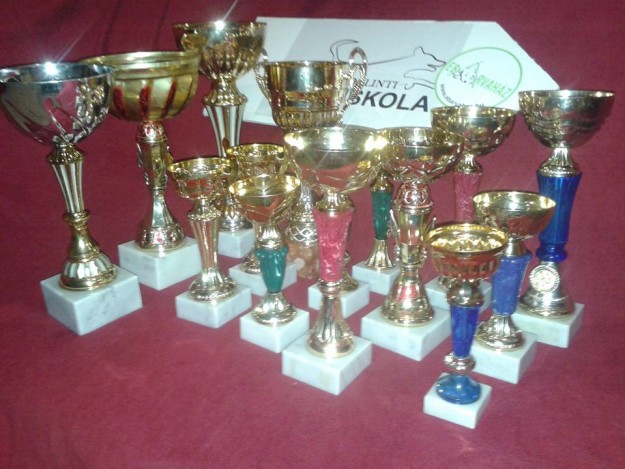 13151599_953836294714600_8794512571164994650_n