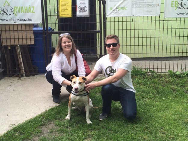 13226641_620109318142625_7867599036933425530_n