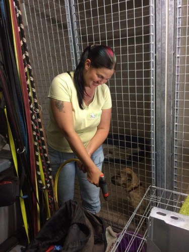 13344569_628973710589519_7144064961936665998_n