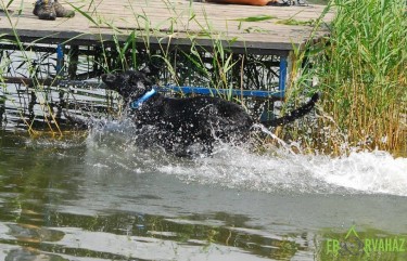 13407322_630251703795053_6921964584348543982_n