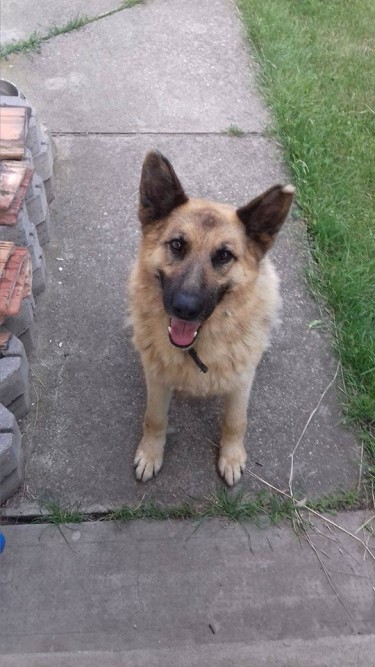 13418890_632270596926497_2882937155469401579_n