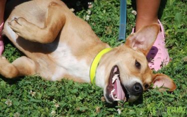 13566930_641776089309281_4547556948658301277_n