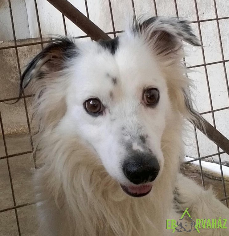 13579748_1144541268931854_712512118_o