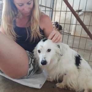 13579801_291059894578252_708851802_o 13579801_291059894578252_708851802_o