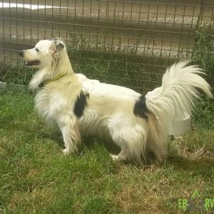 13582211_1145970372122277_2015534977_o 13582211_1145970372122277_2015534977_o