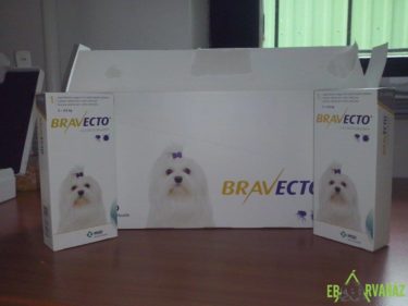 13584638_641012032719020_7128865644871703220_o