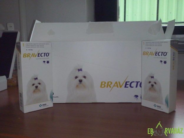 13584638_641012032719020_7128865644871703220_o