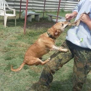 13711495_1154053151313999_1577826720_o