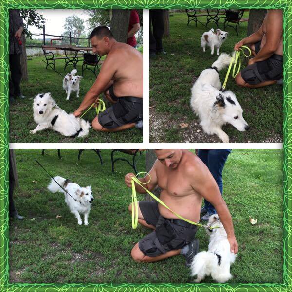 13820493_10210172906269642_1507253661_n