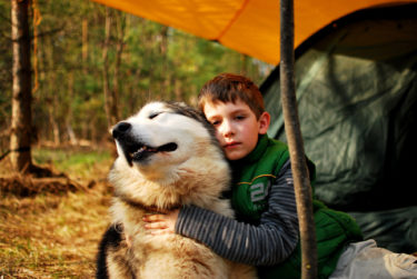 198741840555d107ffcaa1f