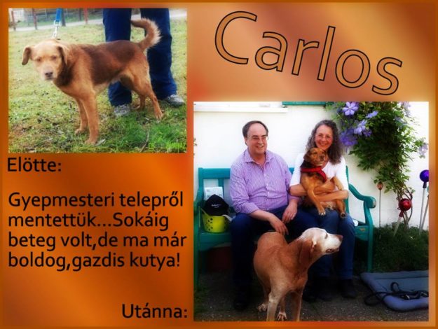 carlos