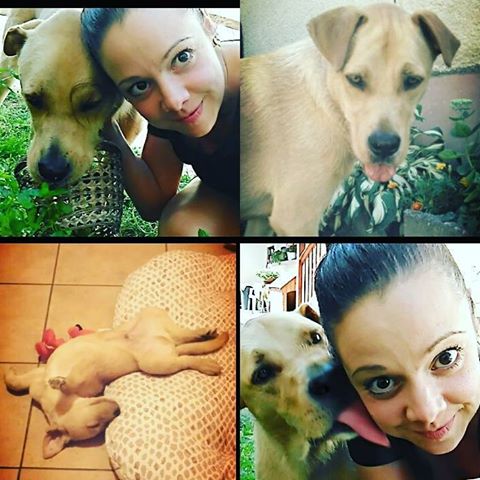 13879258_652654891554734_8061741946640095805_n