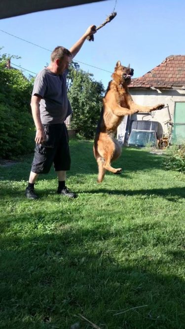 13879392_653089074844649_5975847766660809574_n