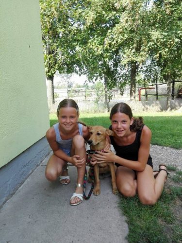 13892216_652652338221656_1337911909581978790_n