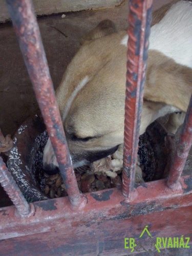 13900118_658364317650458_5478688030020348578_n