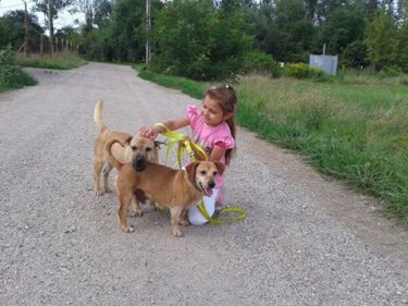 13901343_653978461422377_8945932744824245453_n