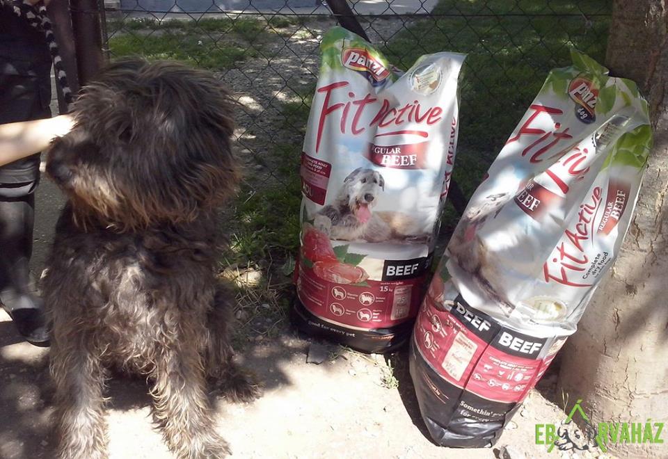 13912757_656468204506736_5257672791428352945_n