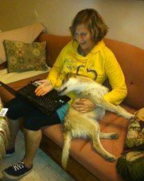 13939498_660561970764026_7686452429114139166_n