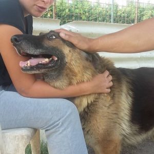 14037637_1178451072207540_576028734_o 14037637_1178451072207540_576028734_o