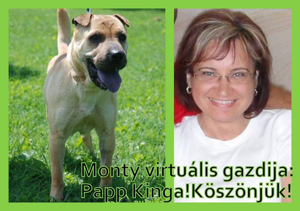 14079494_660176984135858_9208475140786408619_n