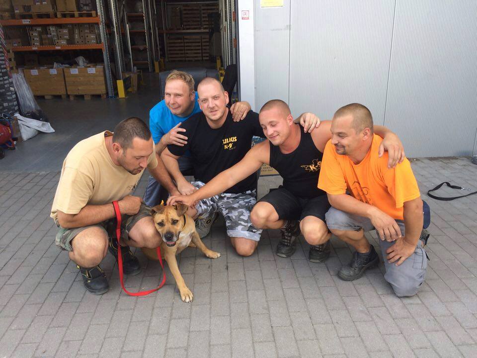 14089250_660798197407070_2049837206040874065_n