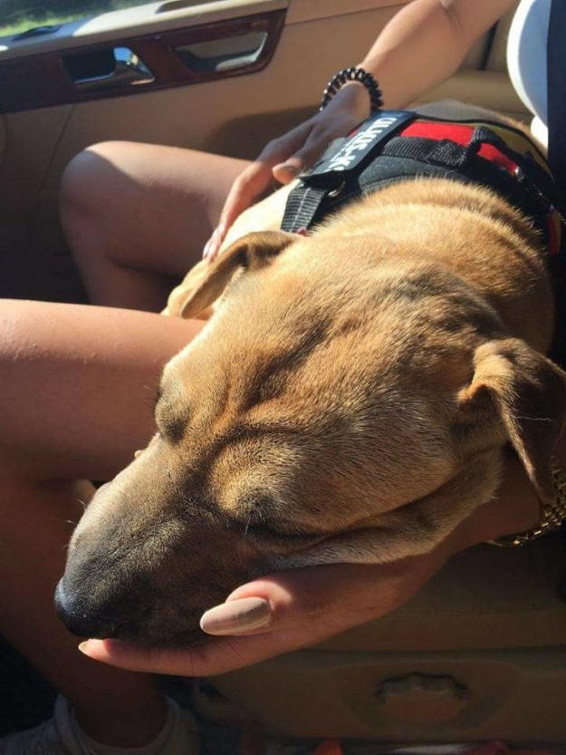 14111763_934863316639200_2098358508_n